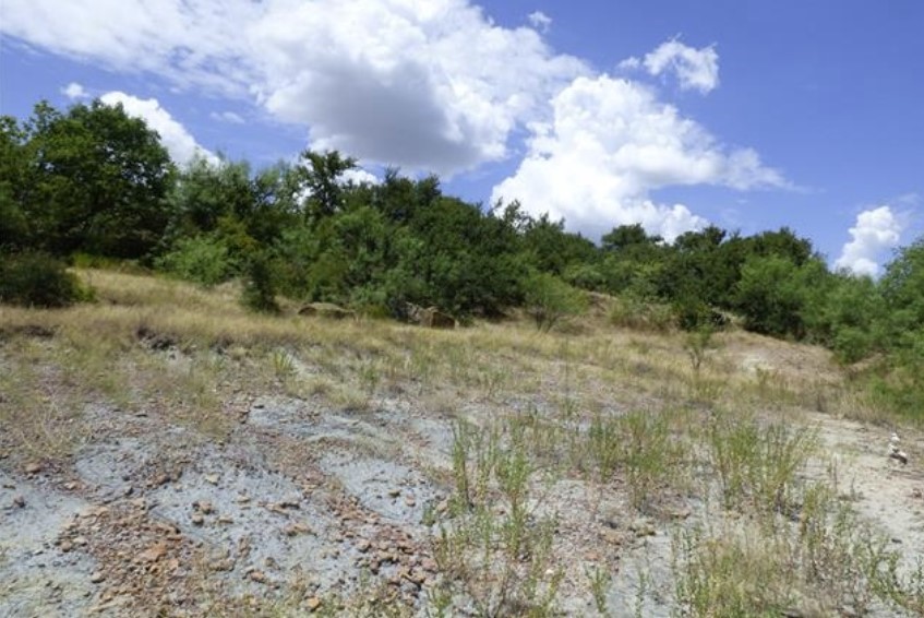 Lot 10 Blue Fathom Drive Runaway Bay TX 76426