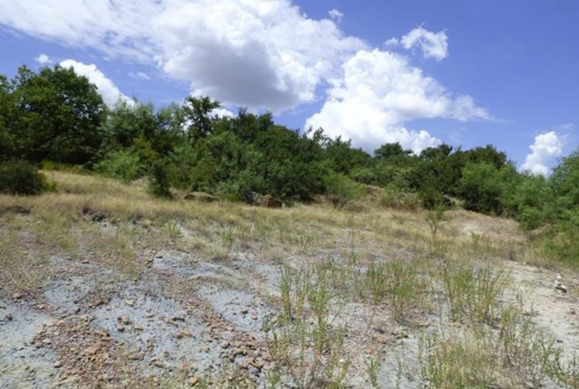 Lot 10 Blue Fathom Drive Runaway Bay TX 76426