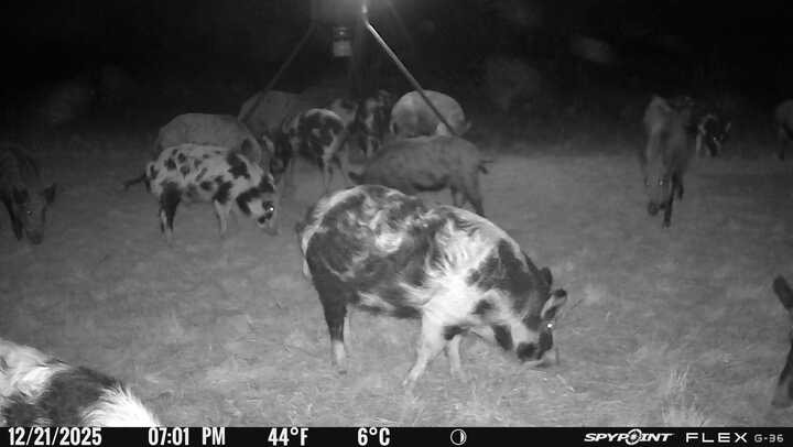 TBD1 County Road 250 Clyde TX 79510