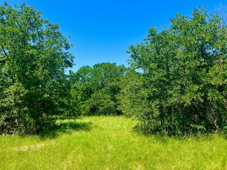 Lot 34 Galway Road Poolville TX 76487