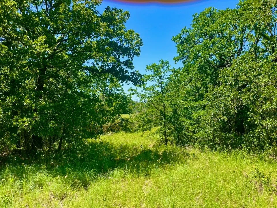 Lot 34 Galway Road Poolville TX 76487