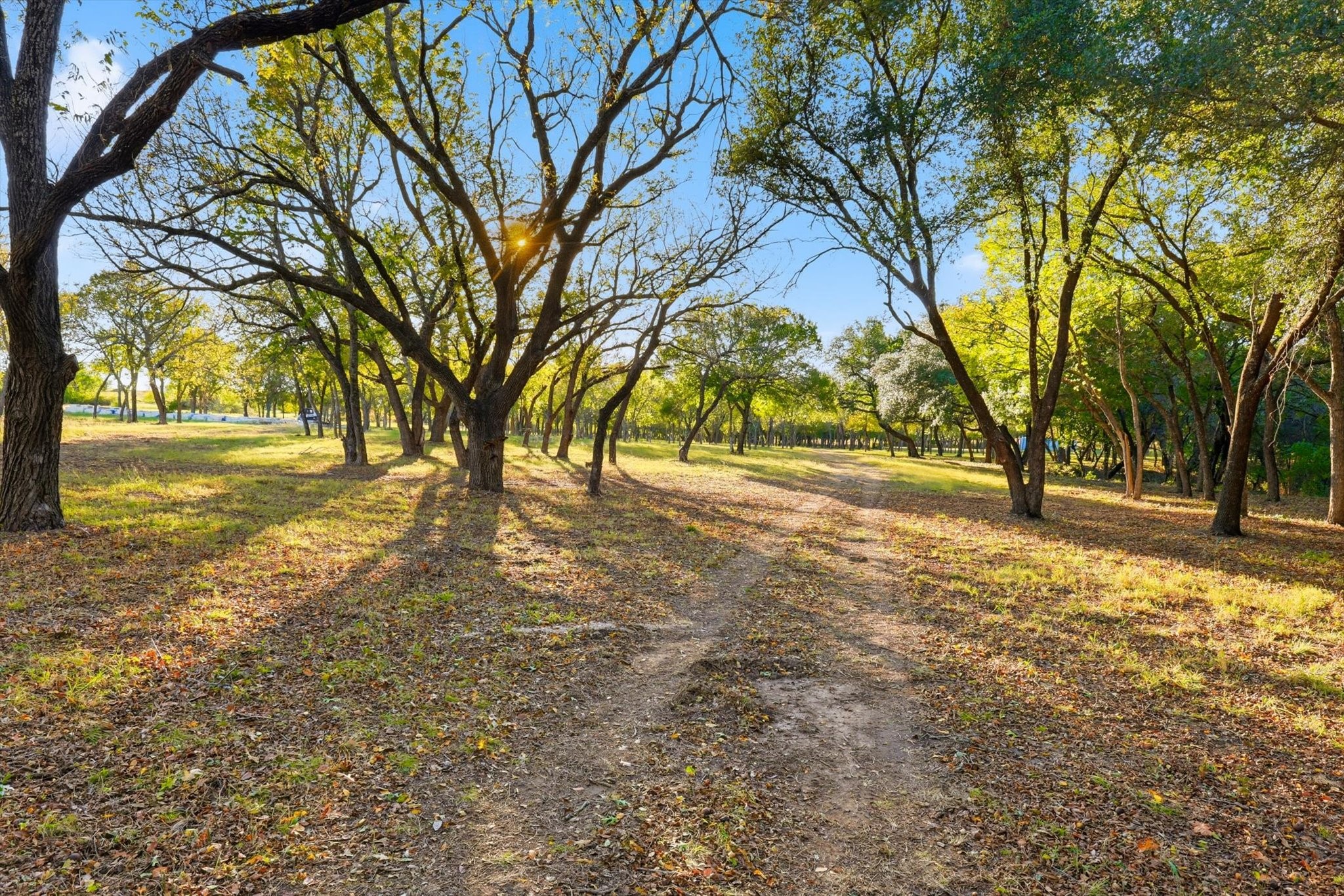 2401 Bear Creek Road Aledo TX 76008