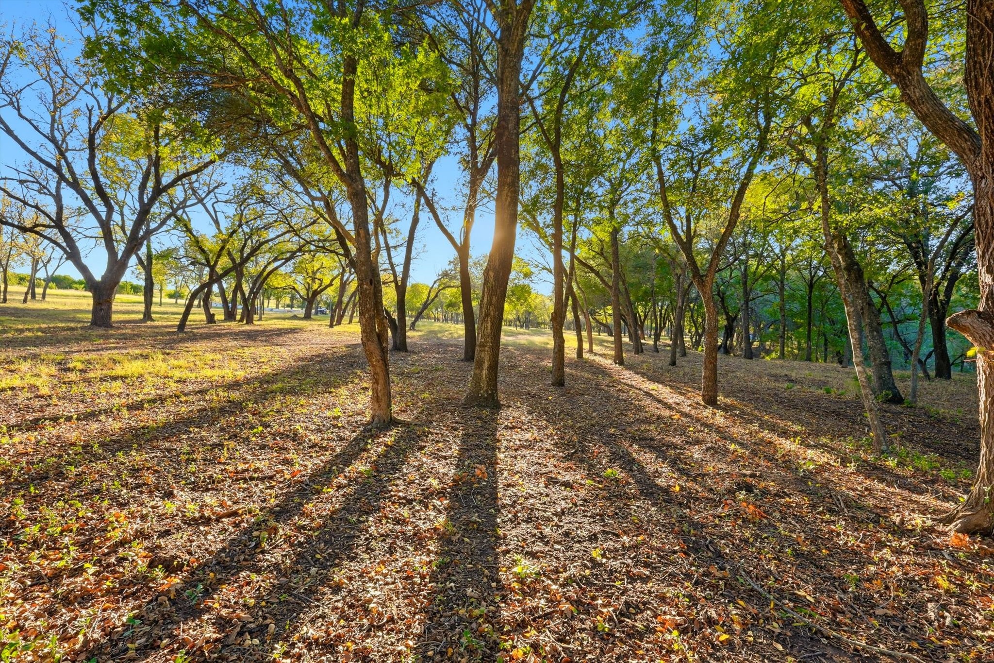 2401 Bear Creek Road Aledo TX 76008