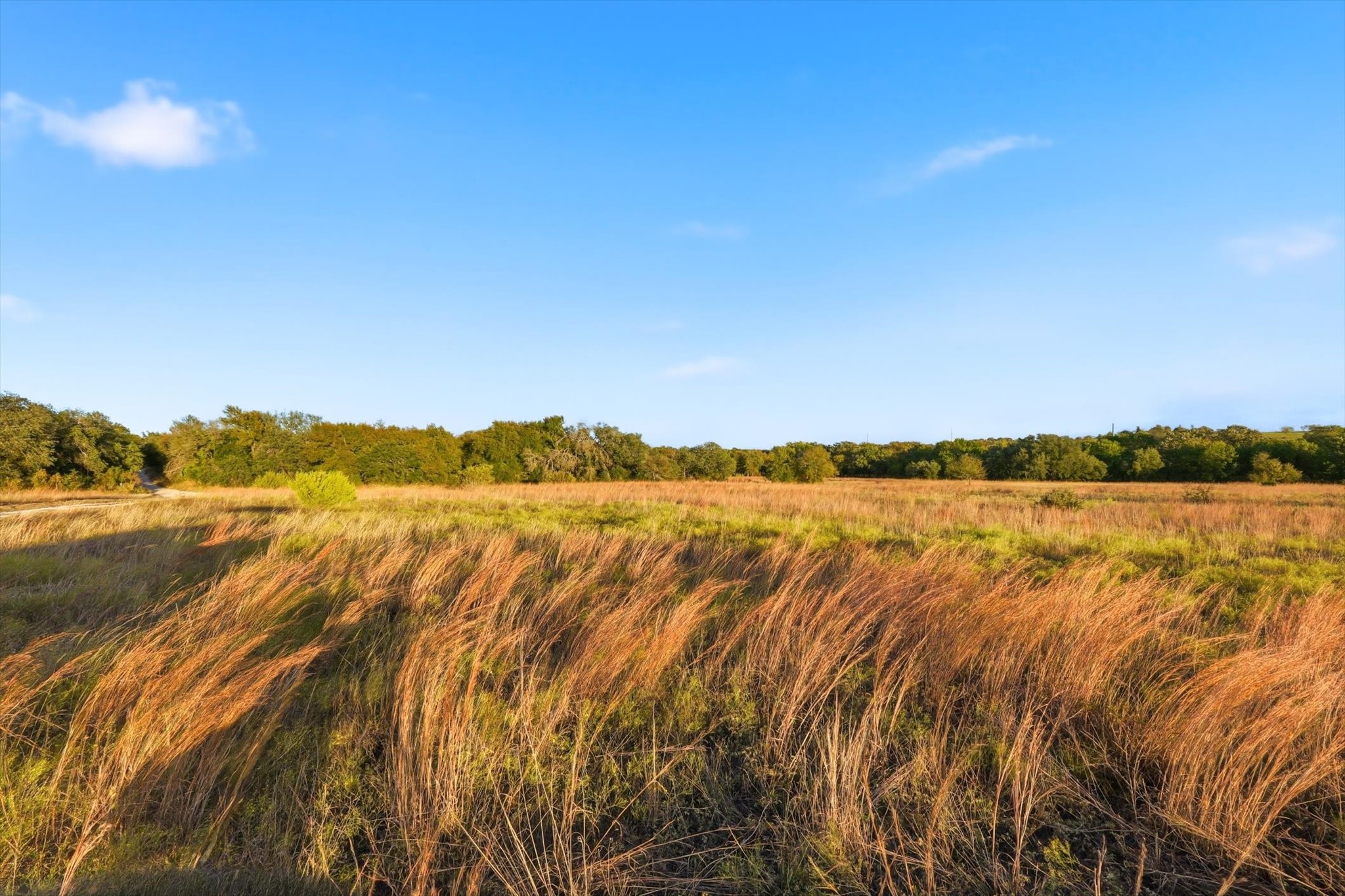 2401 Bear Creek Road Aledo TX 76008