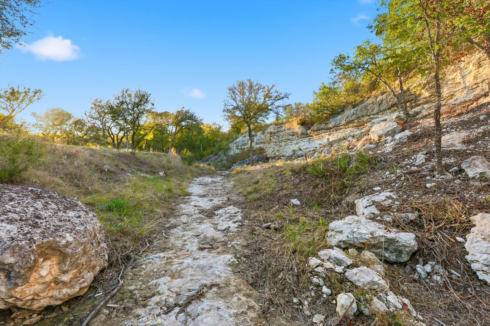 2401 Bear Creek Road Aledo TX 76008