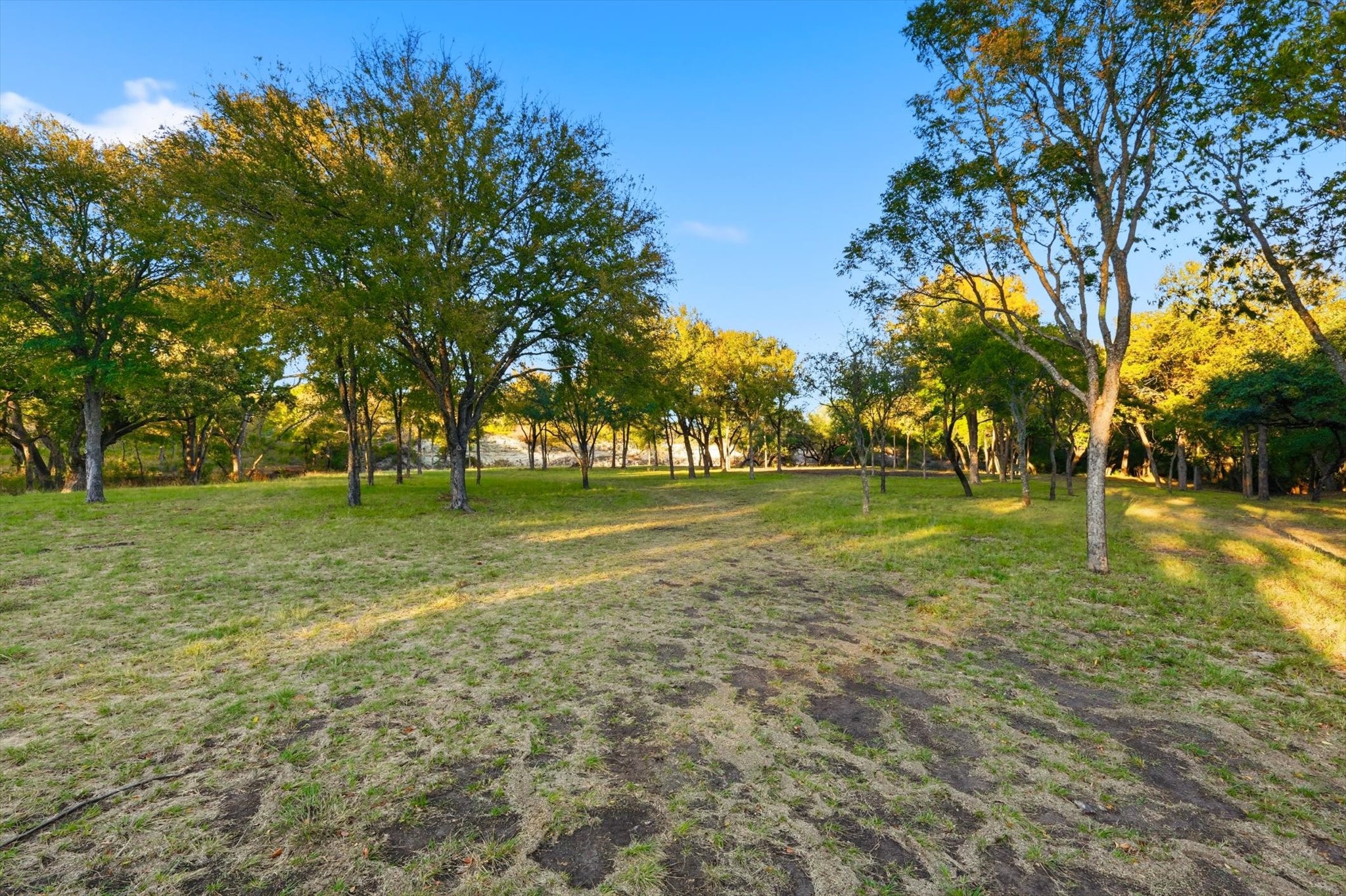 2401 Bear Creek Road Aledo TX 76008