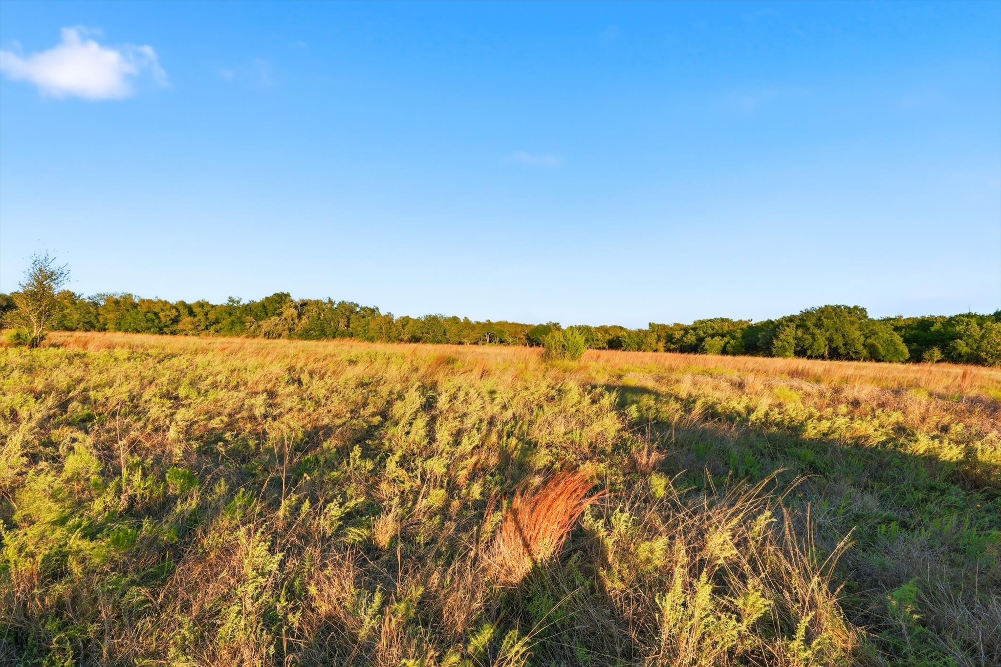 2401 Bear Creek Road Aledo TX 76008