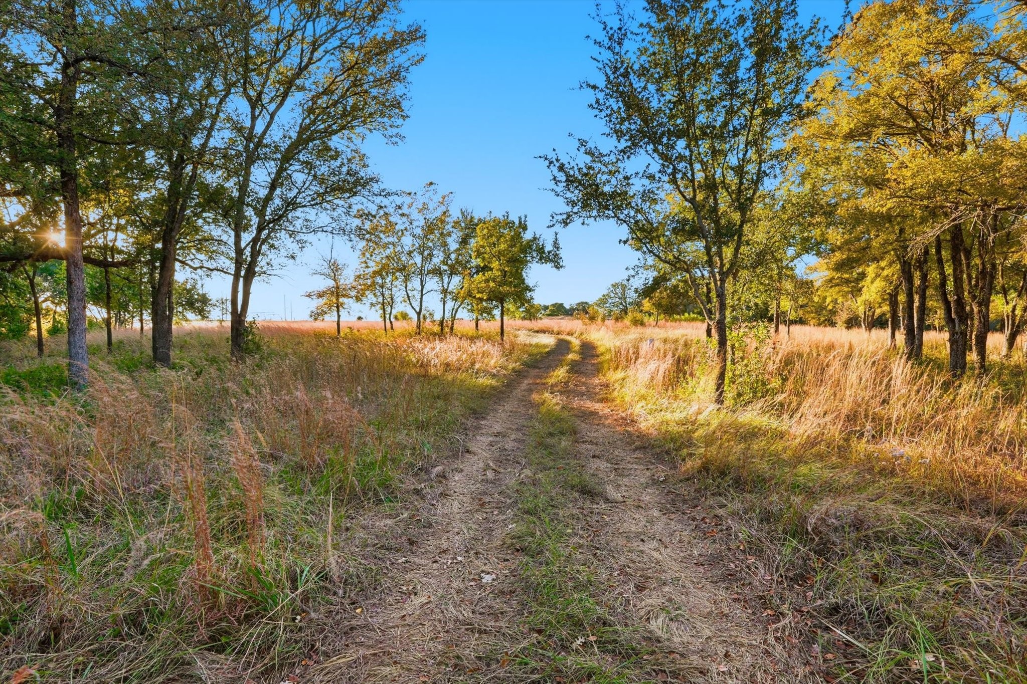 2401 Bear Creek Road Aledo TX 76008
