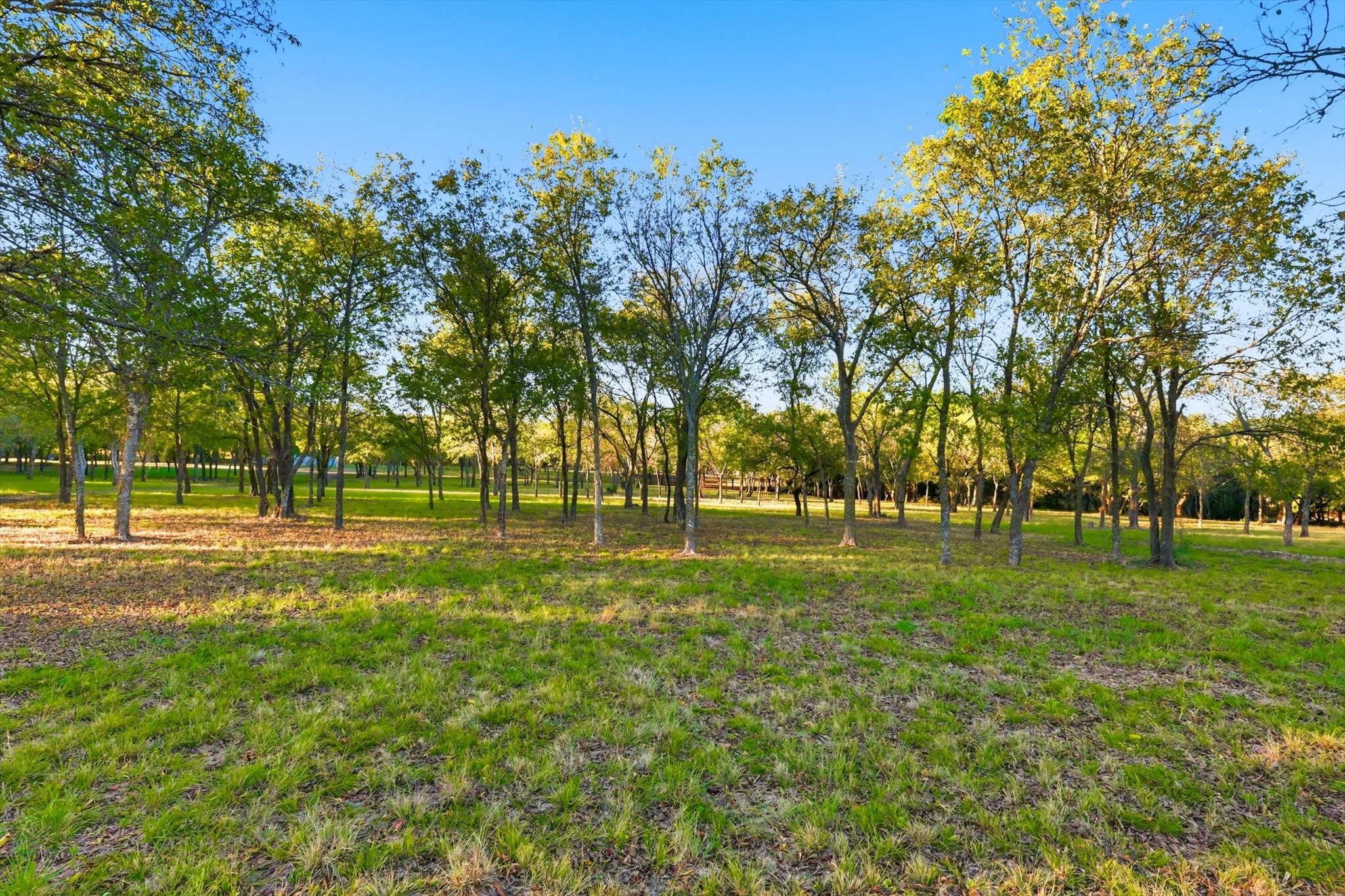 2401 Bear Creek Road Aledo TX 76008