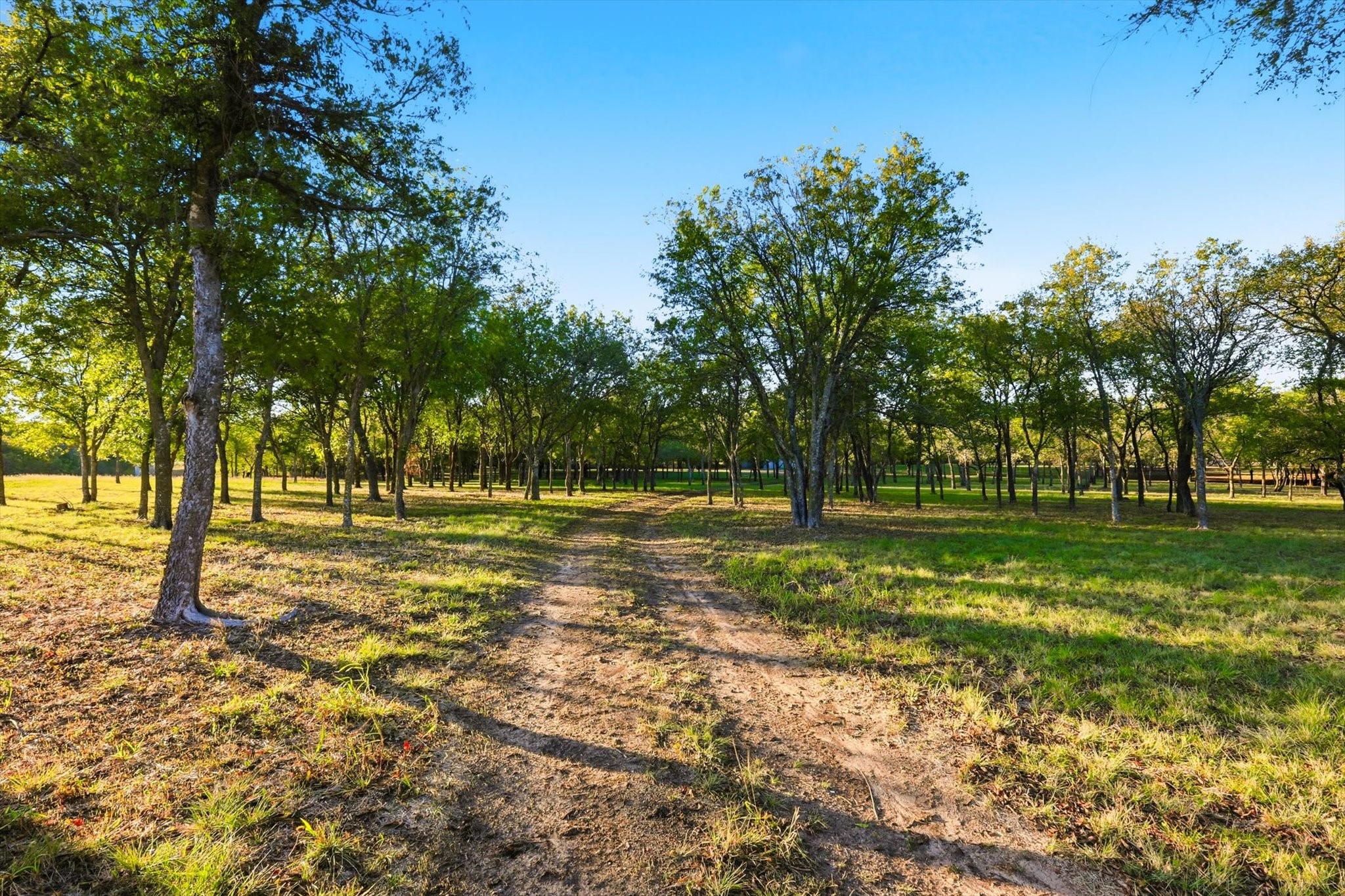 2401 Bear Creek Road Aledo TX 76008