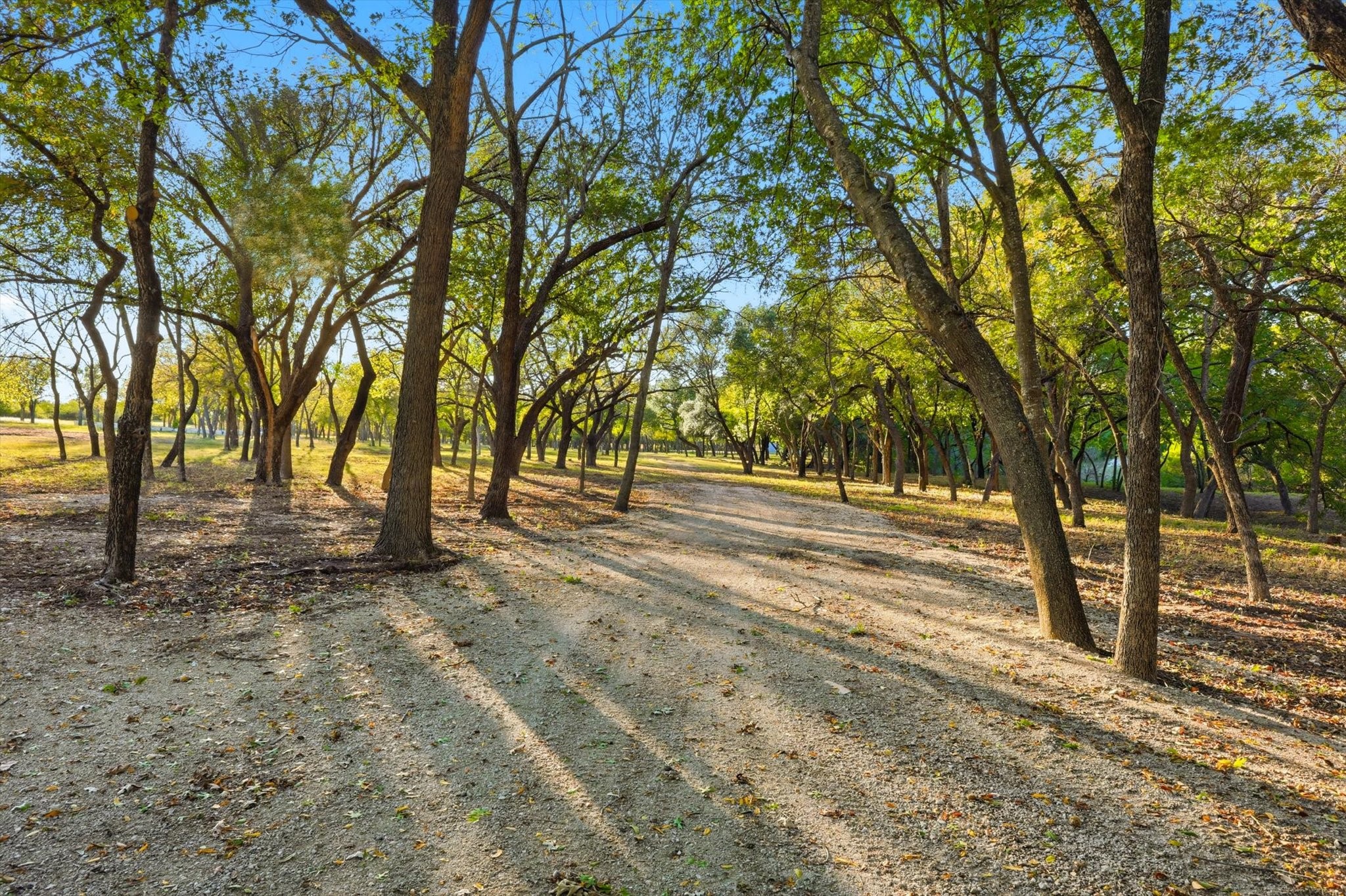 2401 Bear Creek Road Aledo TX 76008