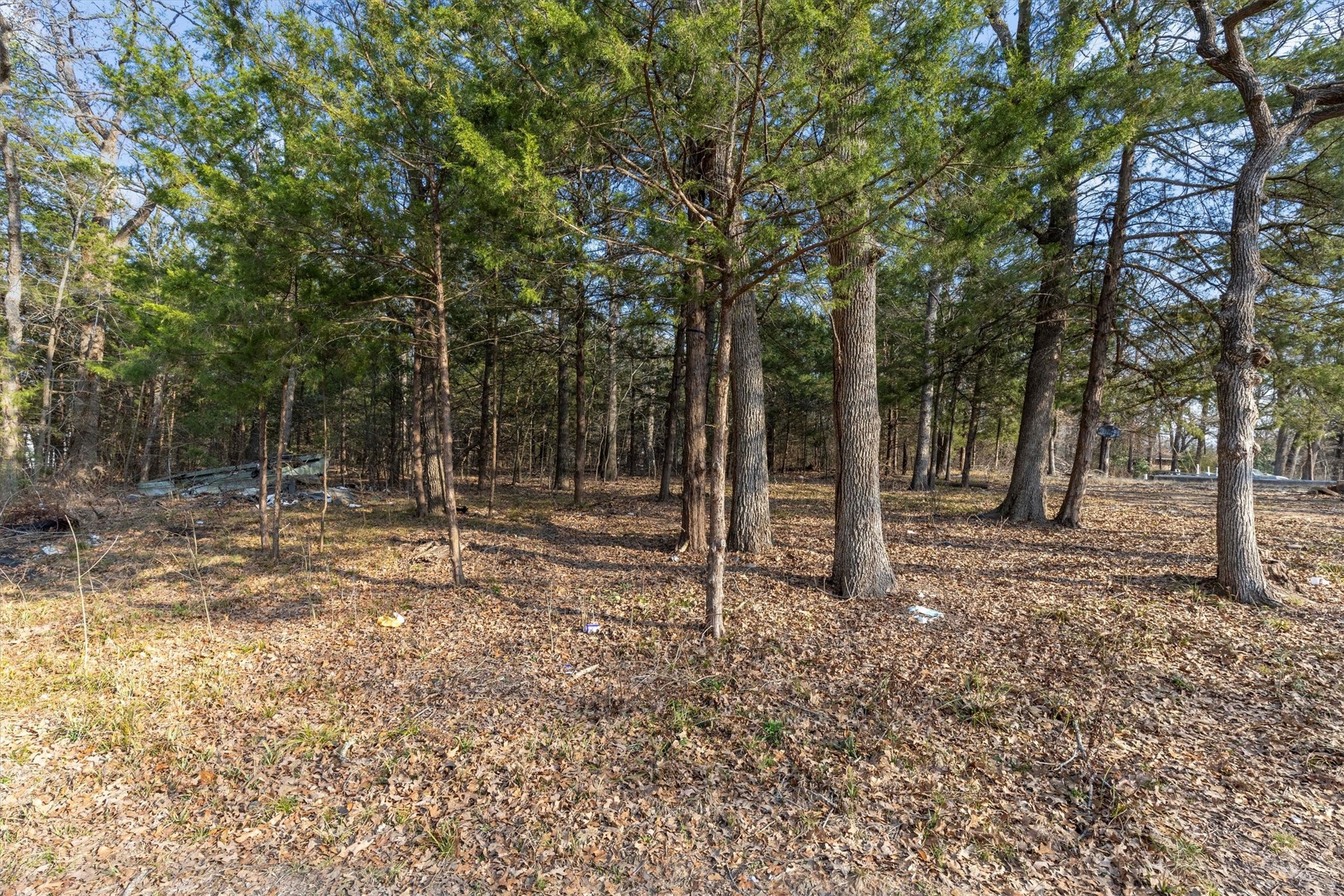 813 Wood Duck Terrace Quinlan TX 75474