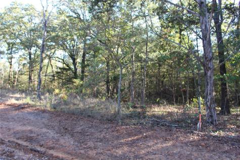 0 Cayote Springs Gordonville TX 76245