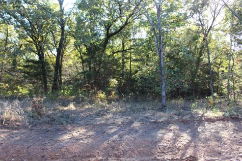 0 Cayote Springs Gordonville TX 76245