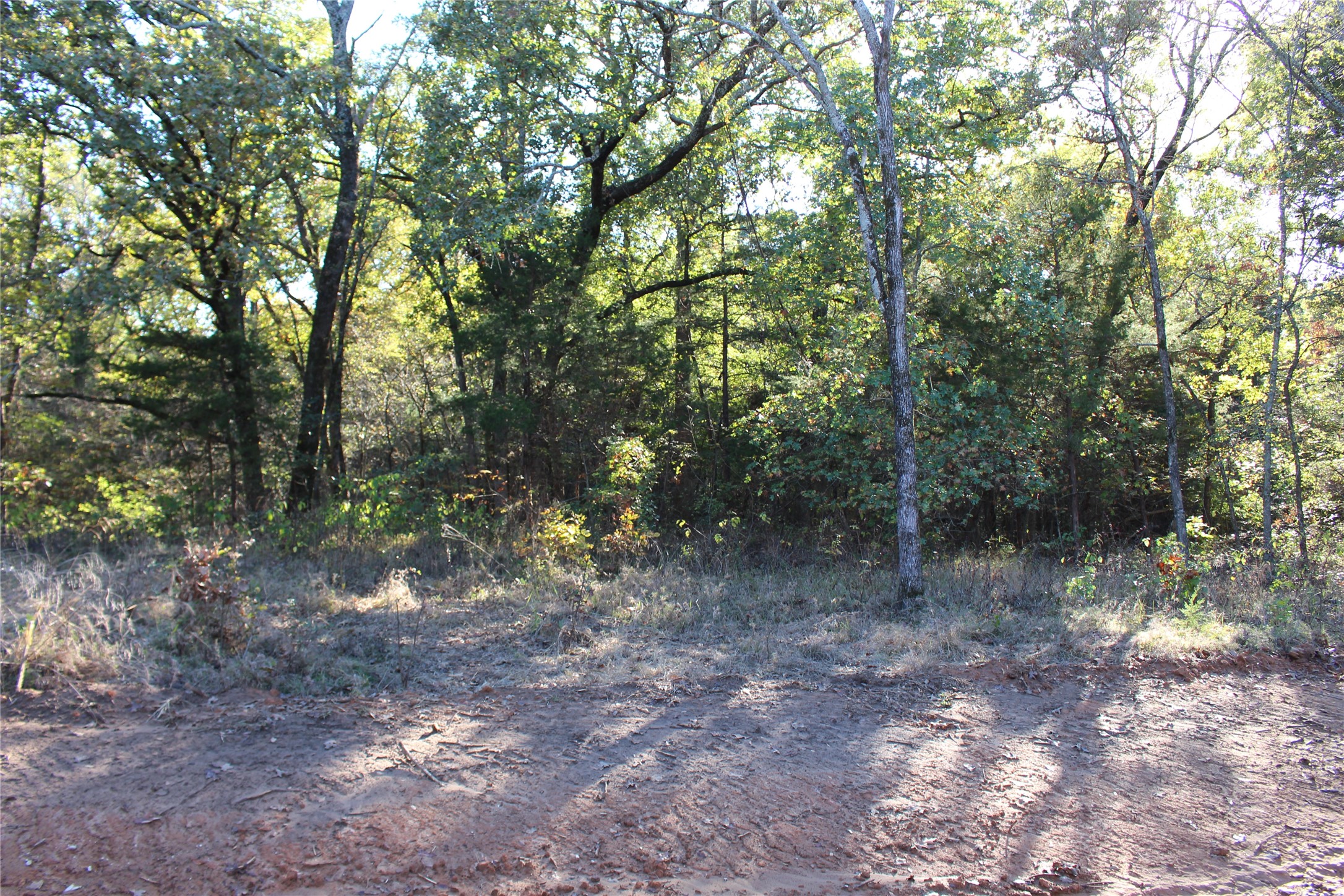 0 Cayote Springs Gordonville TX 76245
