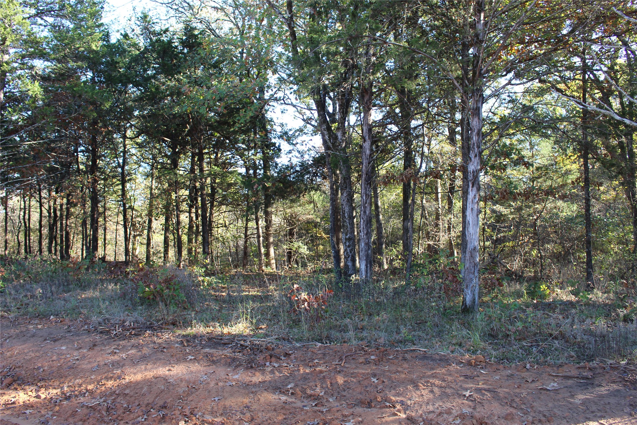 0 Cayote Springs Gordonville TX 76245