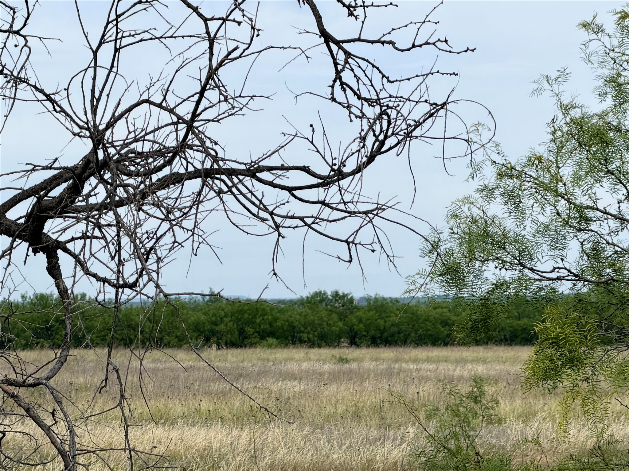 Tbd Hwy 277 S Abilene TX 79606