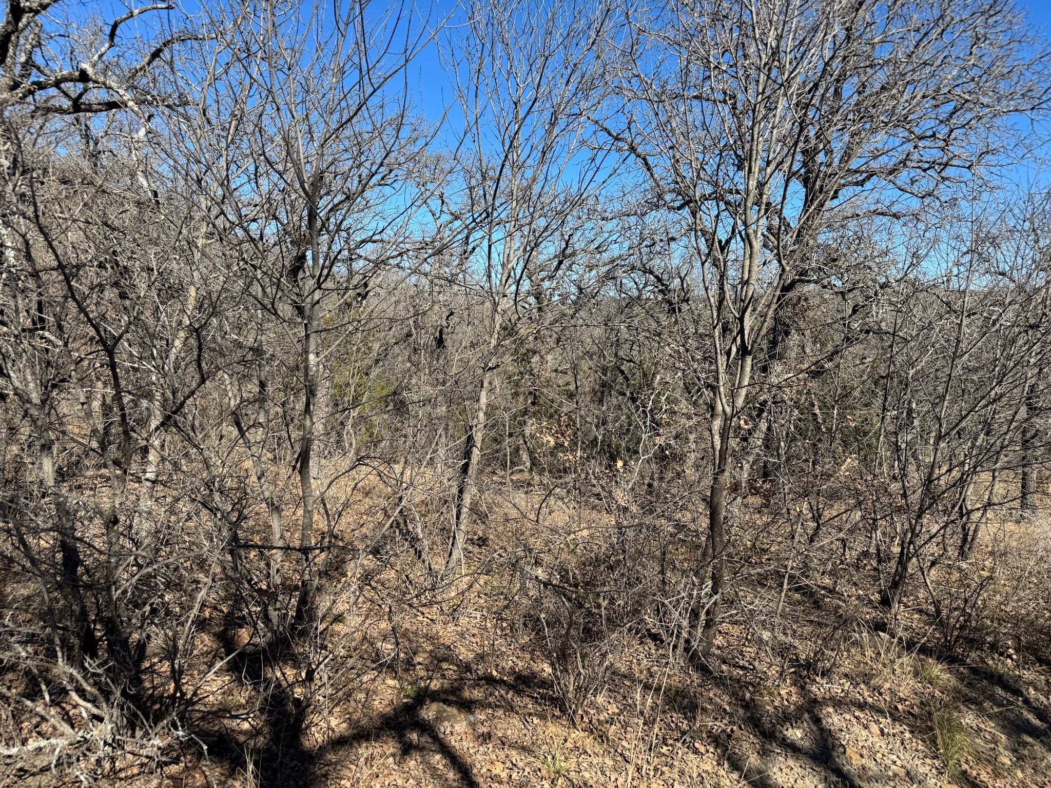 C14 Mallard Circle Gordon TX 76453