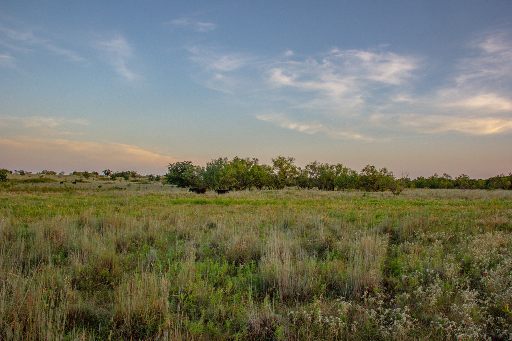 Tbd Gilbert Road Nocona TX 76255