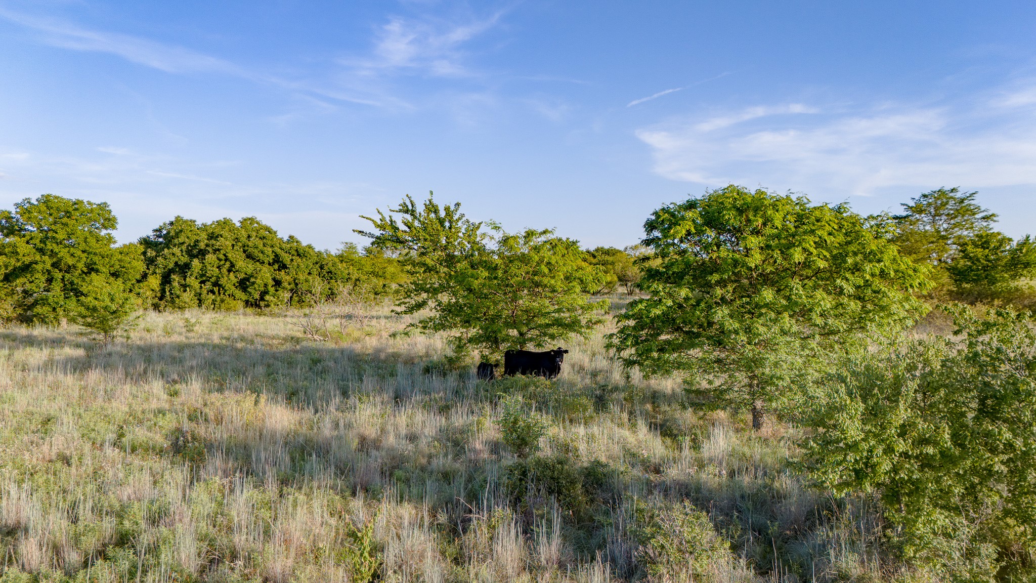 Tbd Gilbert Road Nocona TX 76255