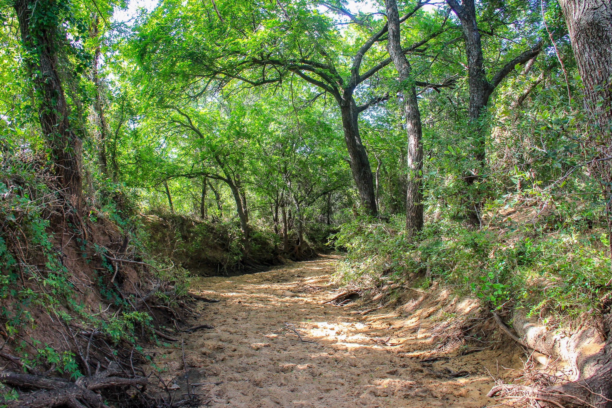 Tbd Gilbert Road Nocona TX 76255