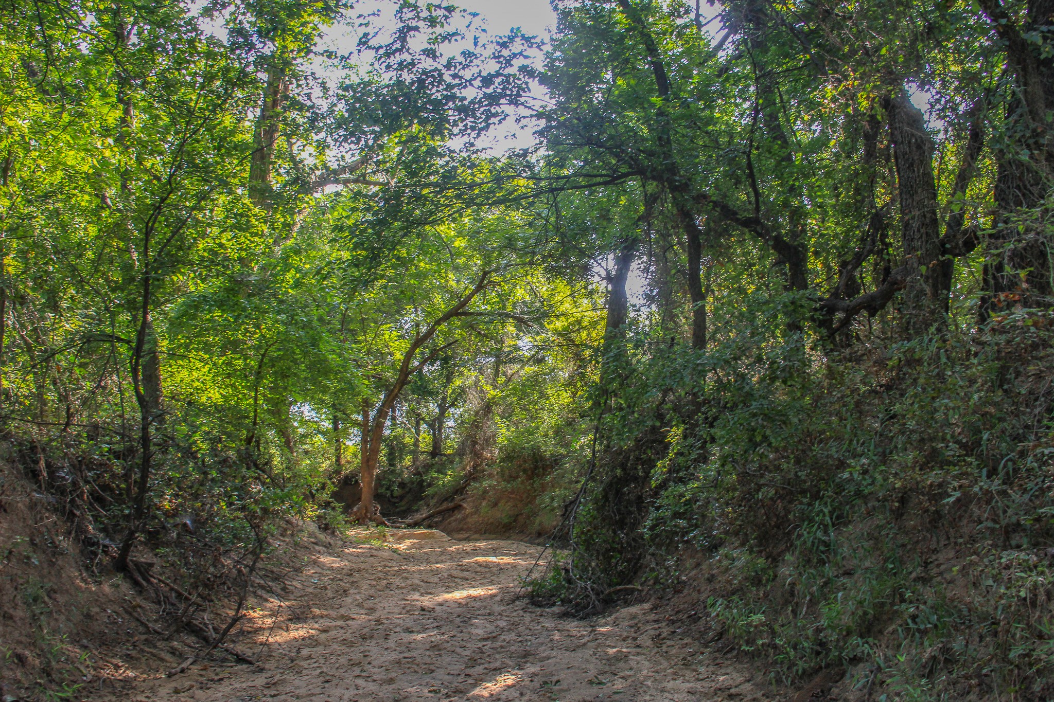 Tbd Gilbert Road Nocona TX 76255