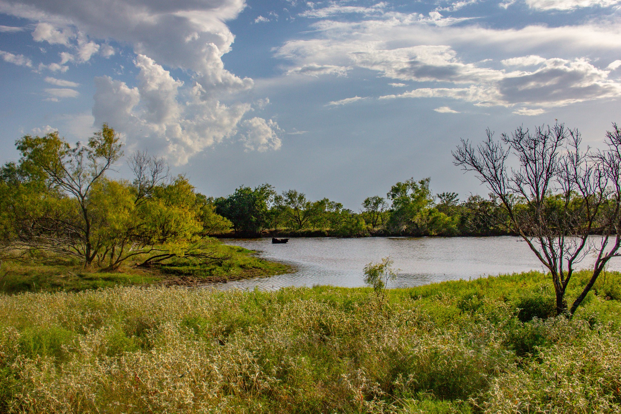 Tbd Gilbert Road Nocona TX 76255