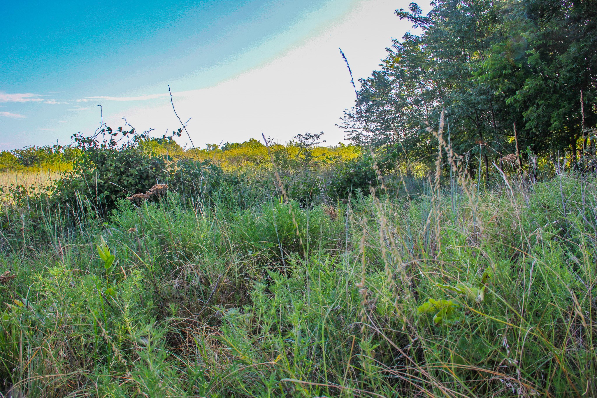 Tbd Gilbert Road Nocona TX 76255