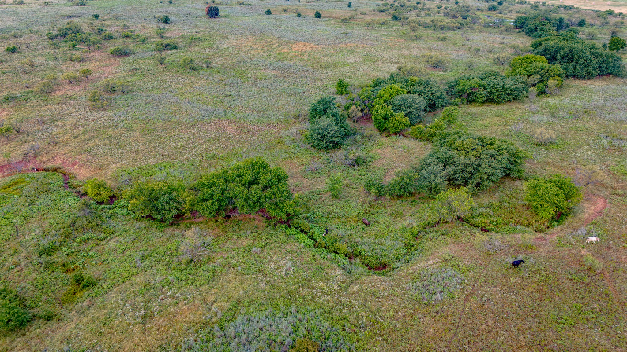 Tbd Gilbert Road Nocona TX 76255