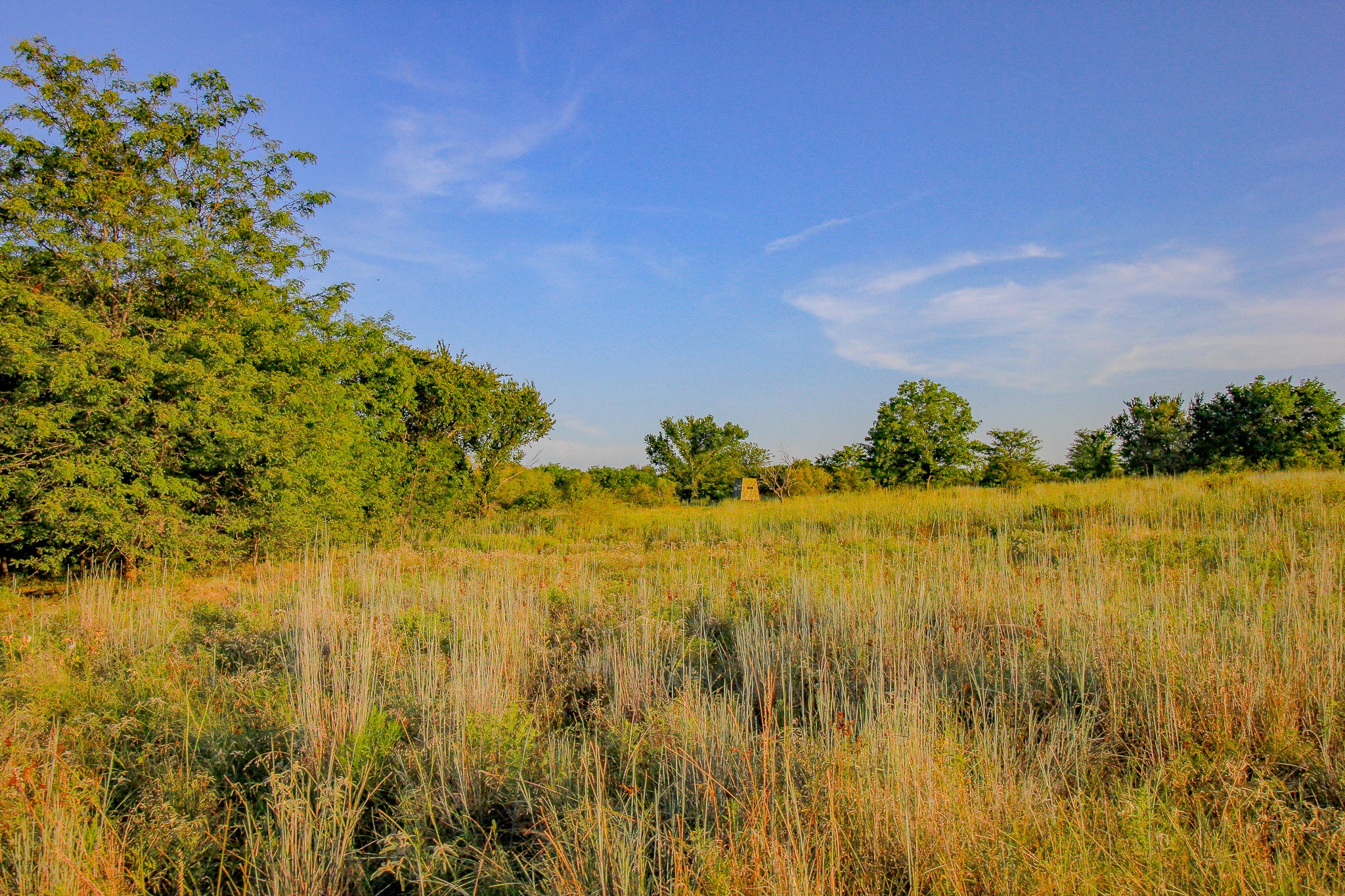Tbd Gilbert Road Nocona TX 76255