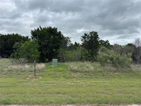 434 Indigo Bush Graford TX 79763