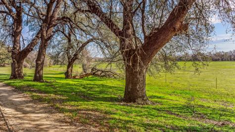 TBD-4 Cr 160 Bluff Dale TX 76433