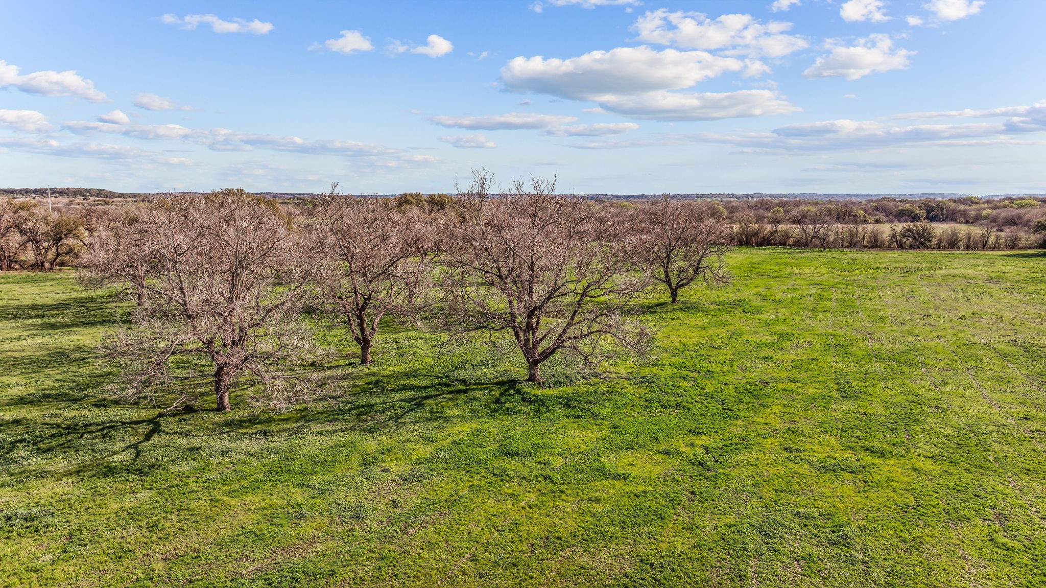 TBD-4 Cr 160 Bluff Dale TX 76433
