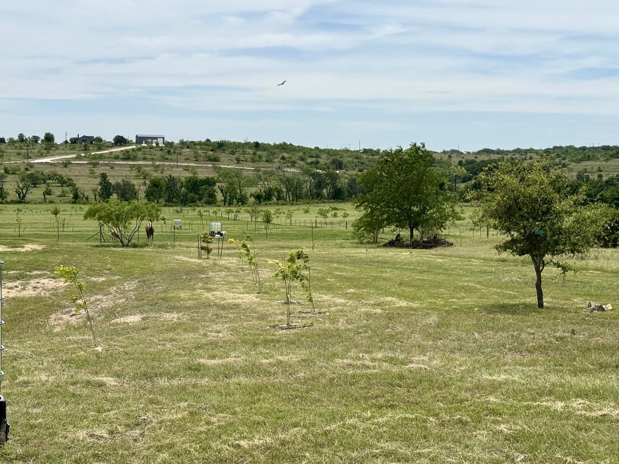 1313 County Road 266 Gustine TX 76455