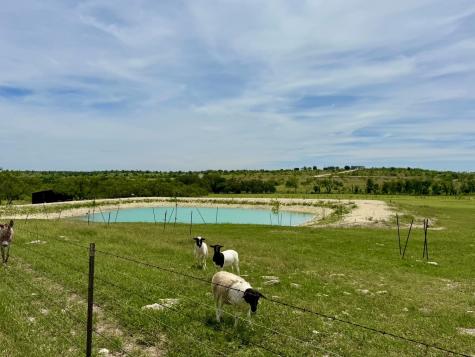 1313 County Road 266 Gustine TX 76455