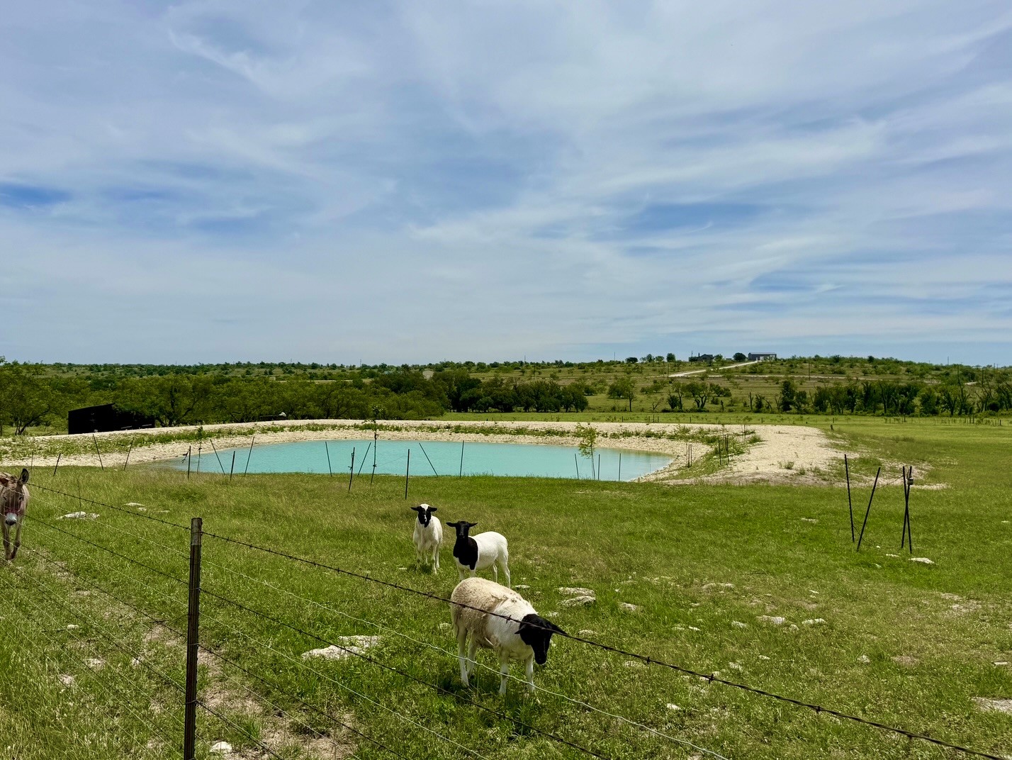 1313 County Road 266 Gustine TX 76455