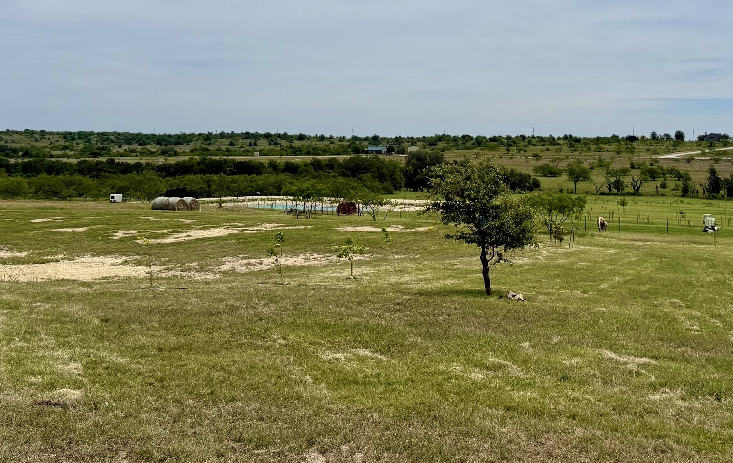 1313 County Road 266 Gustine TX 76455
