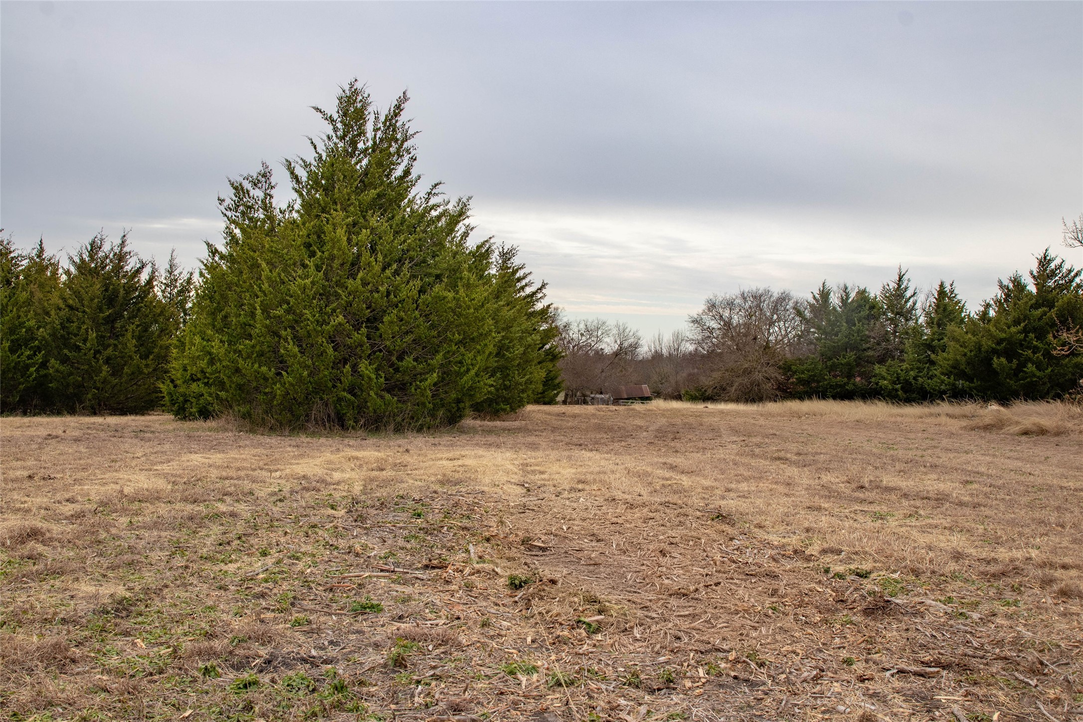 839 Cedar Ridge Court Farmersville TX 75442