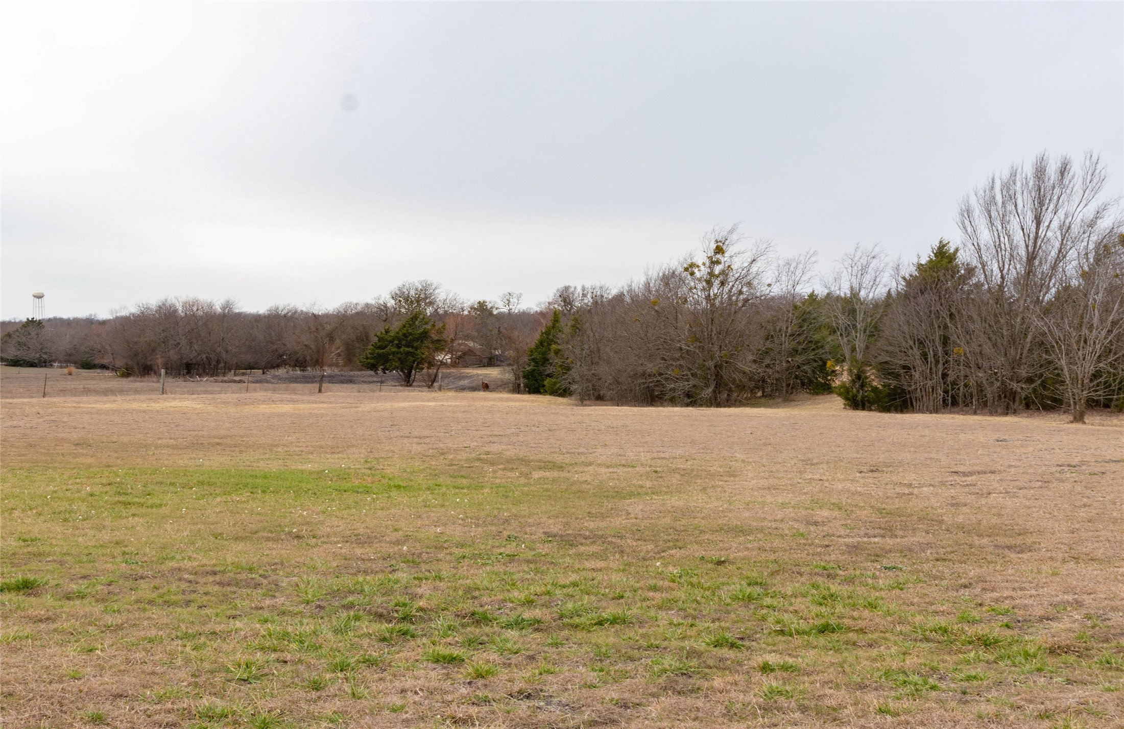 839 Cedar Ridge Court Farmersville TX 75442
