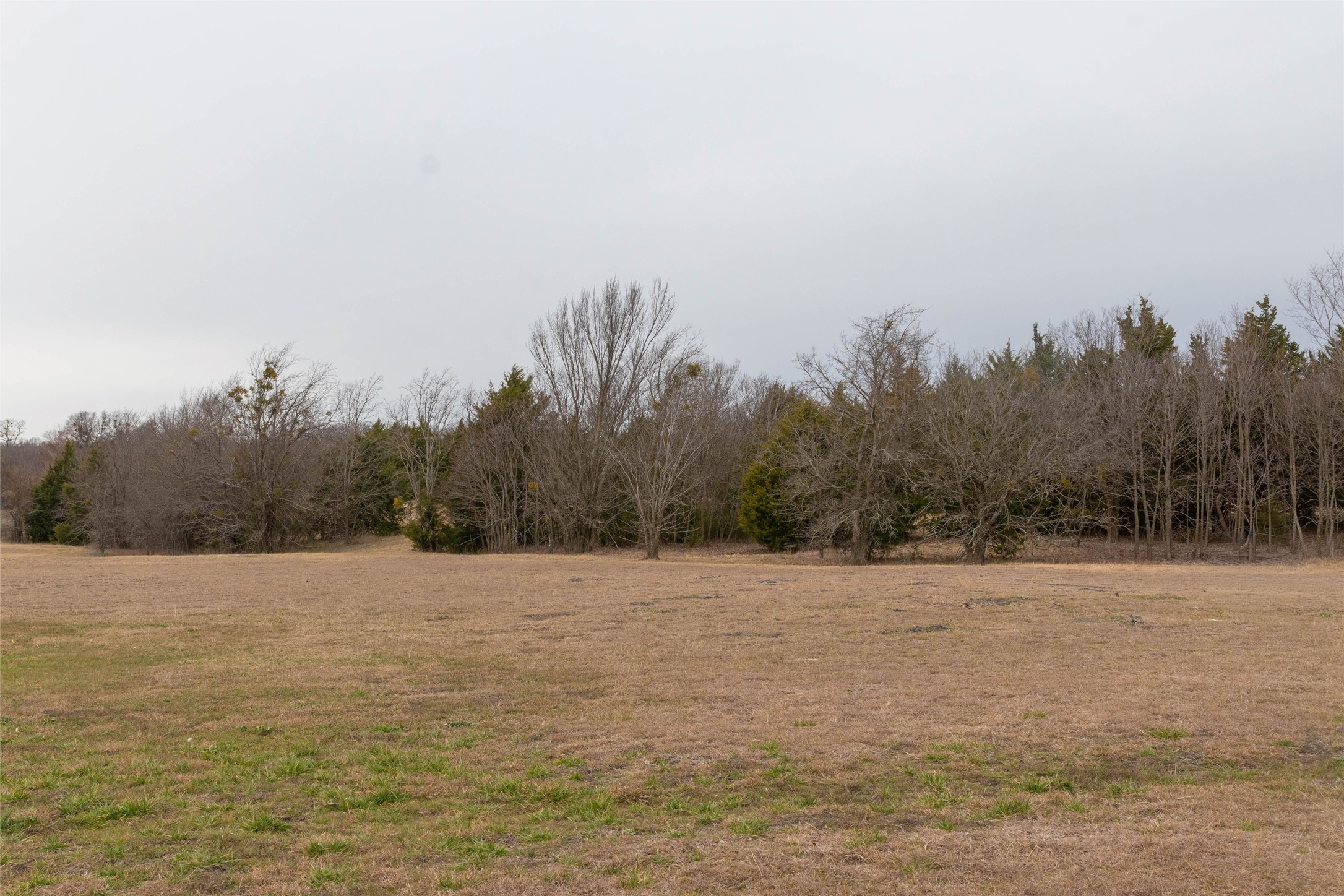 839 Cedar Ridge Court Farmersville TX 75442
