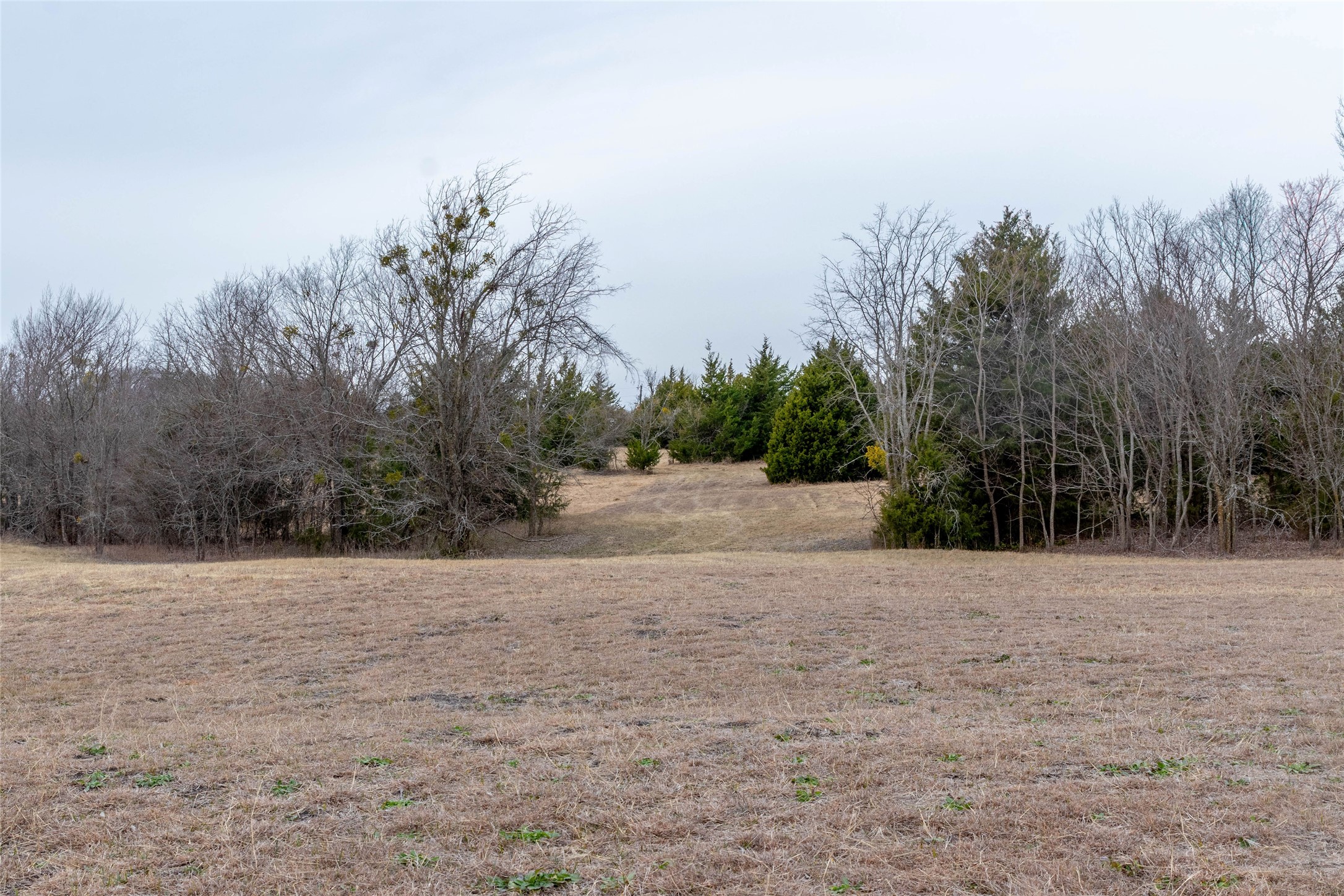 839 Cedar Ridge Court Farmersville TX 75442