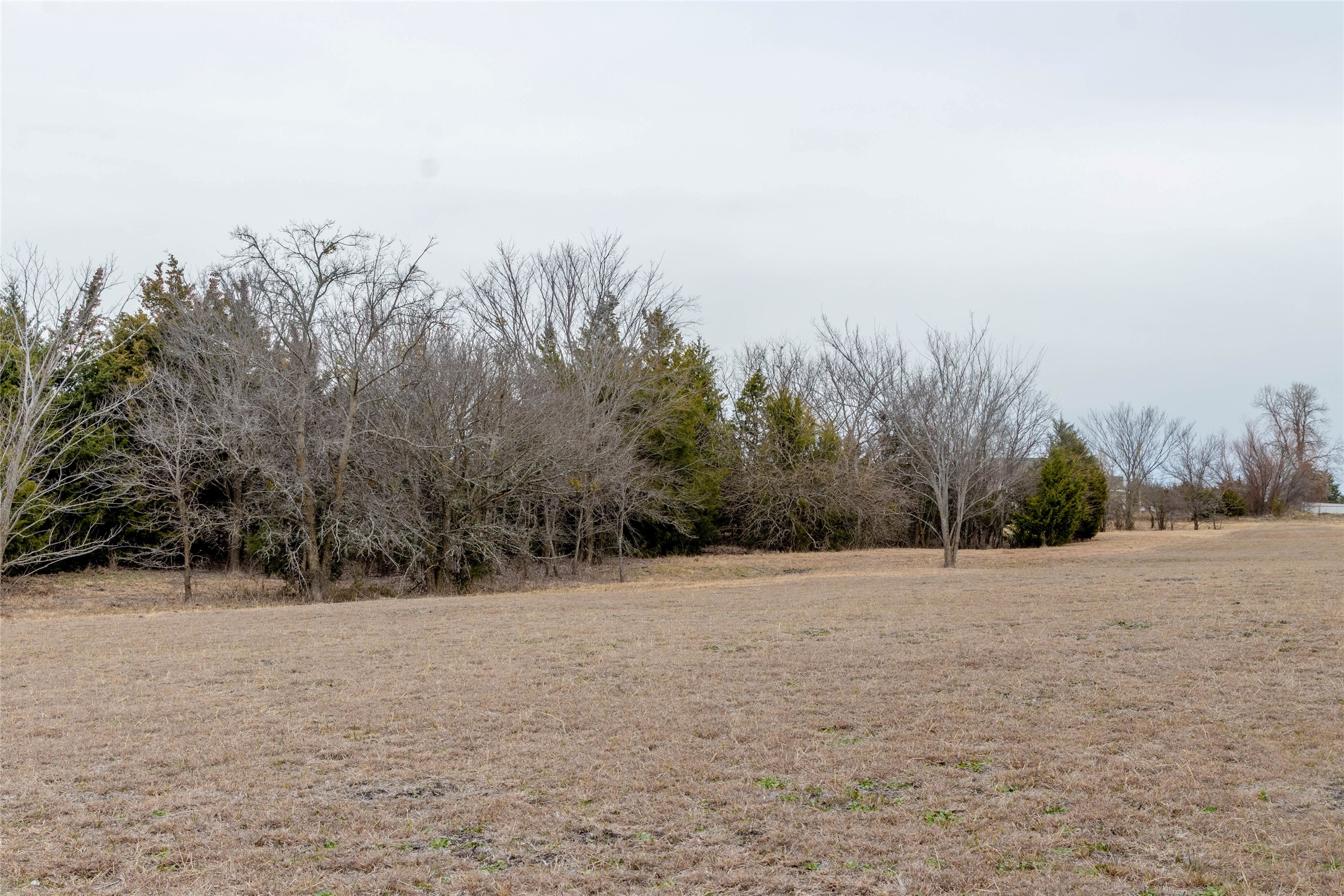 839 Cedar Ridge Court Farmersville TX 75442