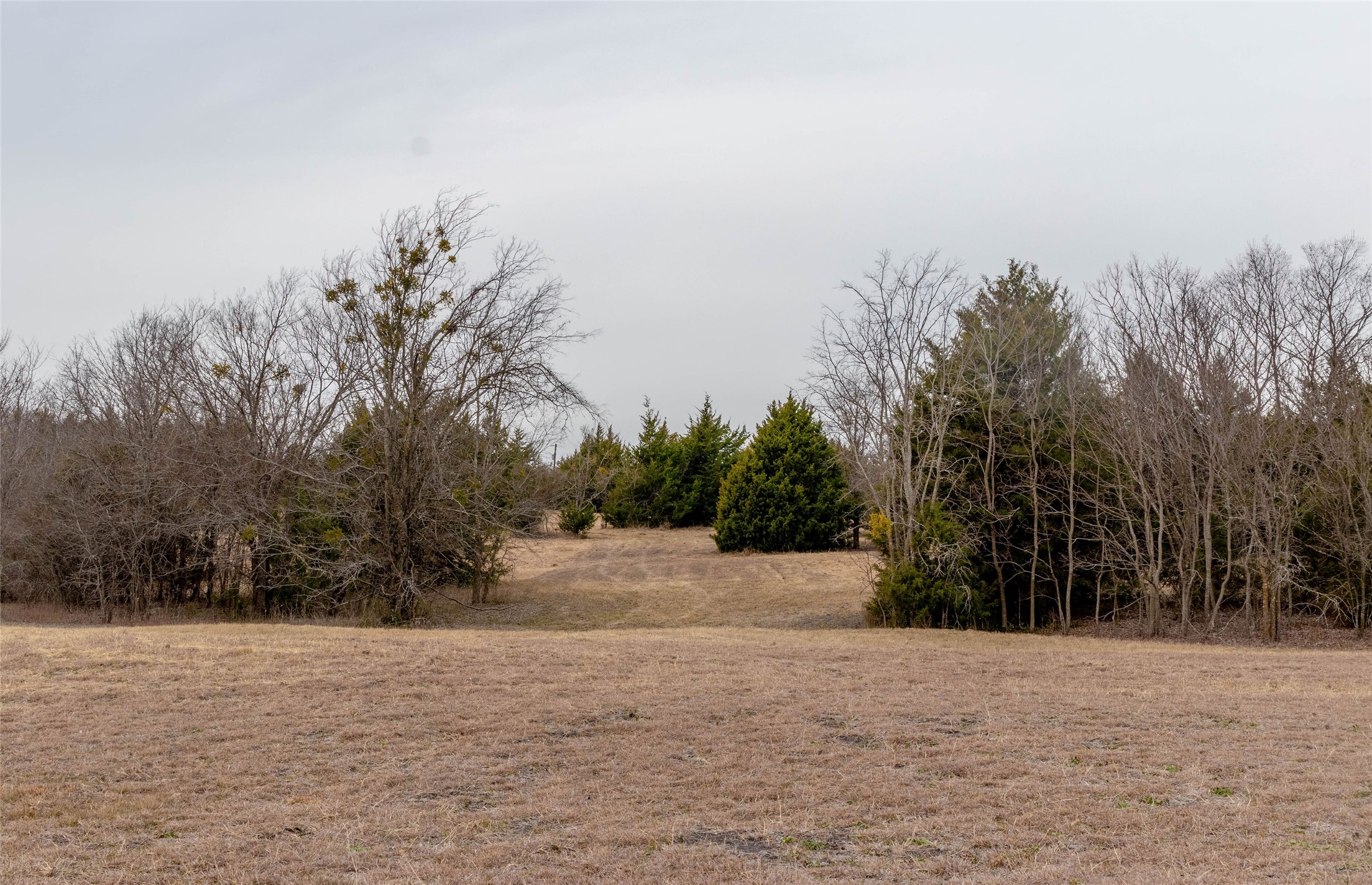 839 Cedar Ridge Court Farmersville TX 75442