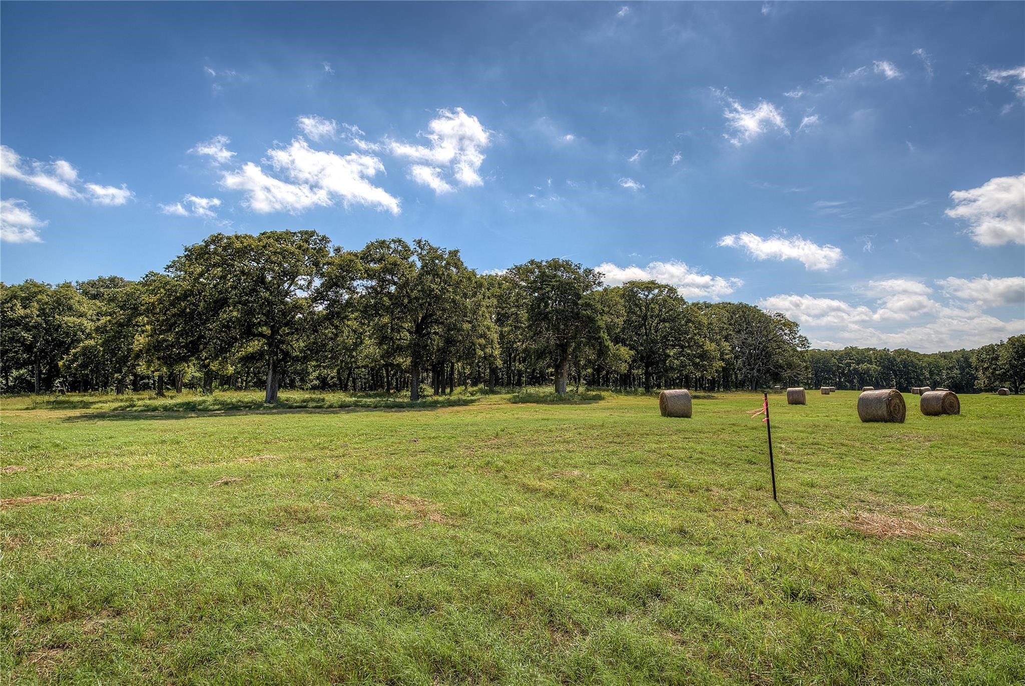 Lot 2 Benjamin Lane Wills Point TX 75169