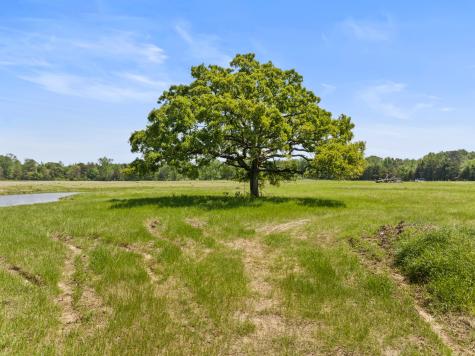 Lot A County Road 3324 Pittsburg TX 75686