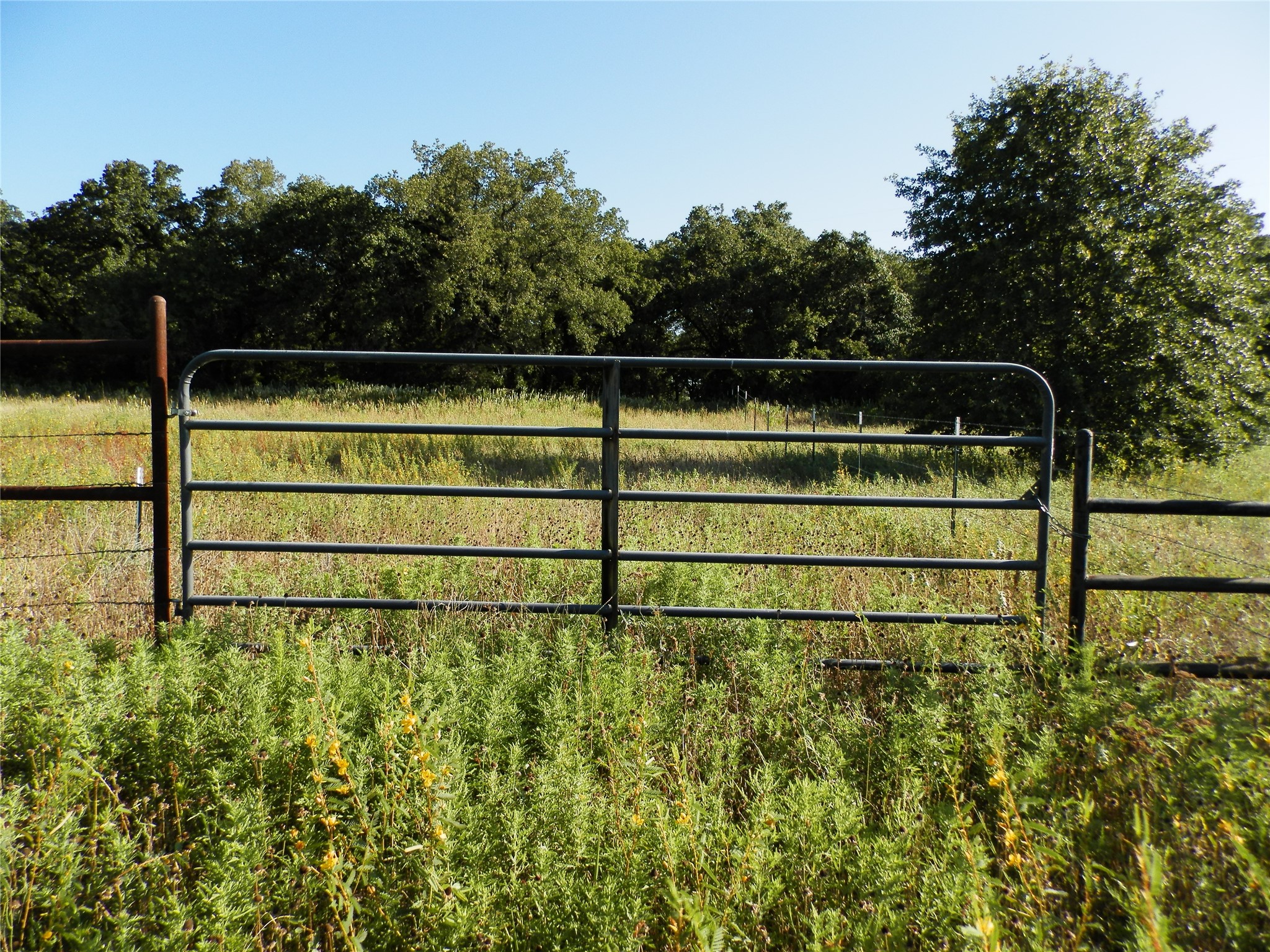 524 County Road 1792 Sunset TX 76270
