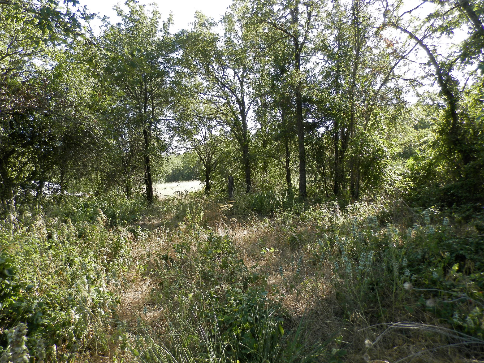 524 County Road 1792 Sunset TX 76270