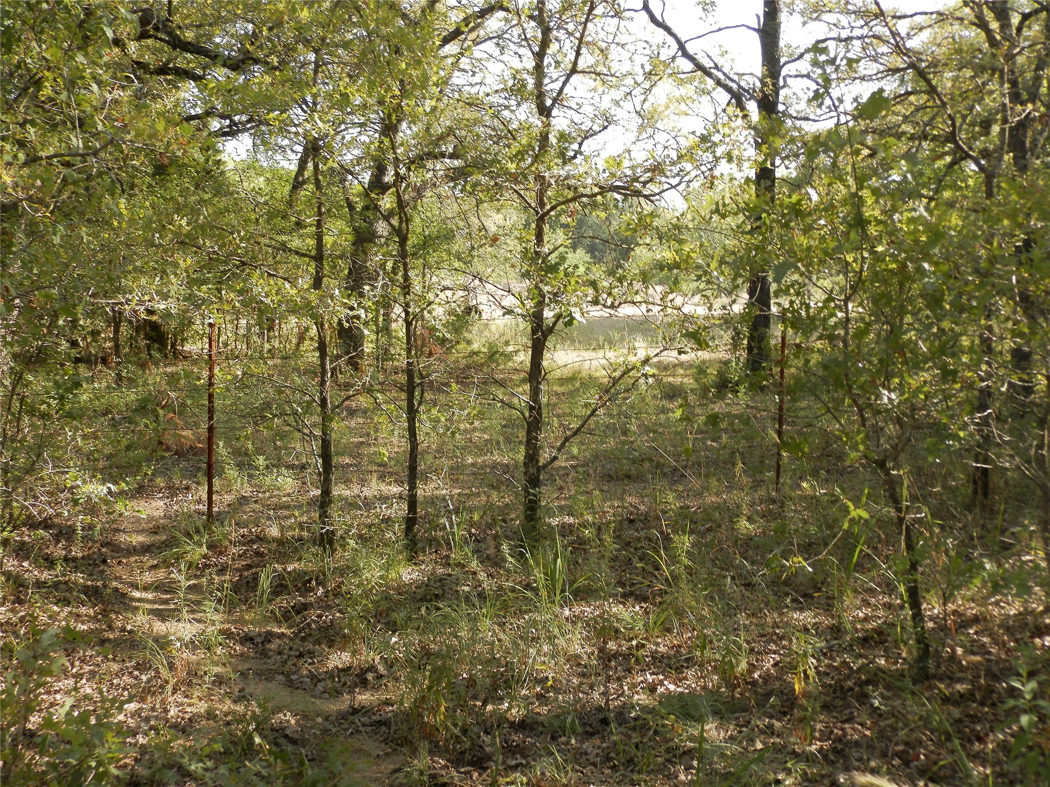 524 County Road 1792 Sunset TX 76270
