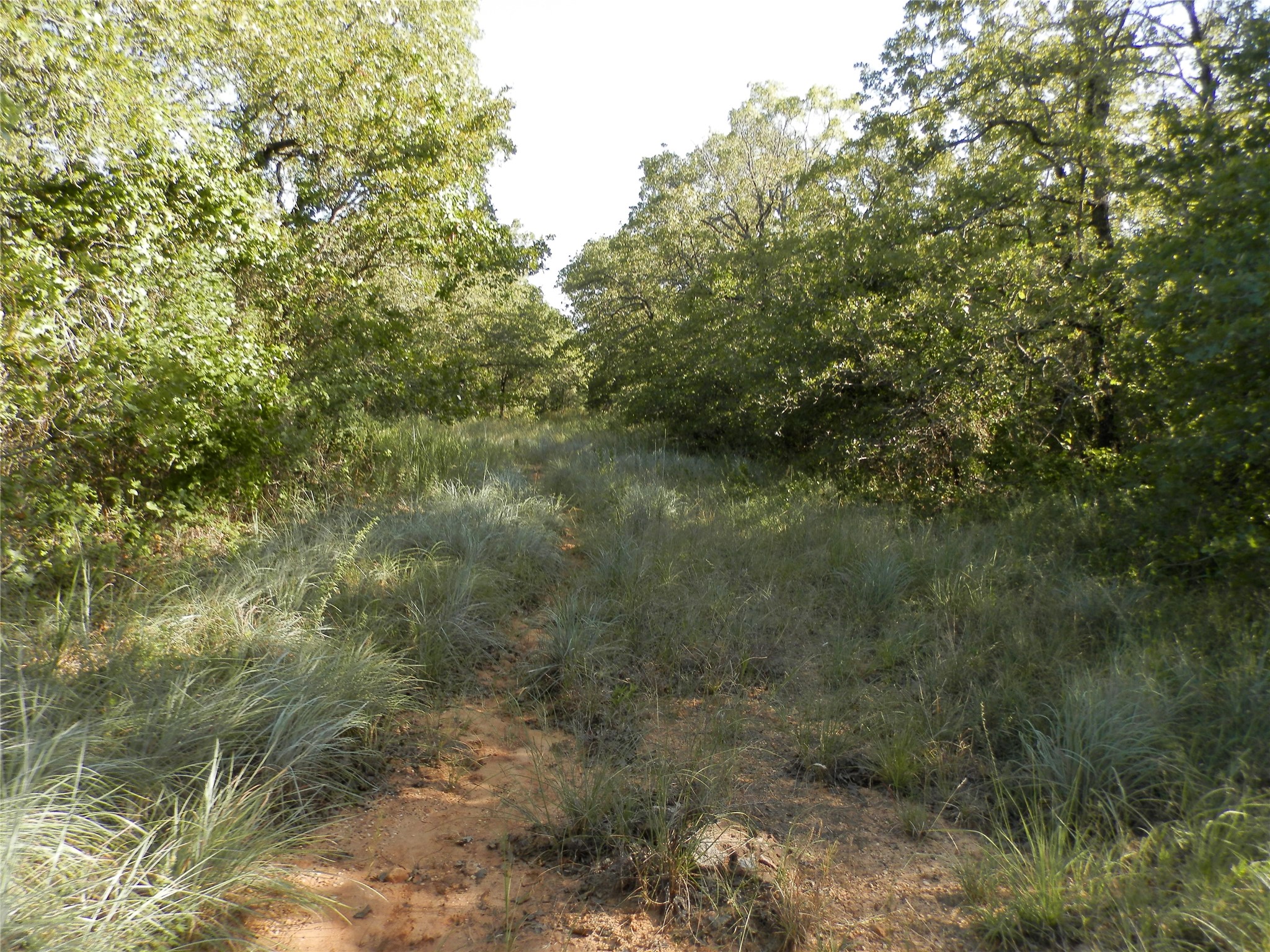 524 County Road 1792 Sunset TX 76270