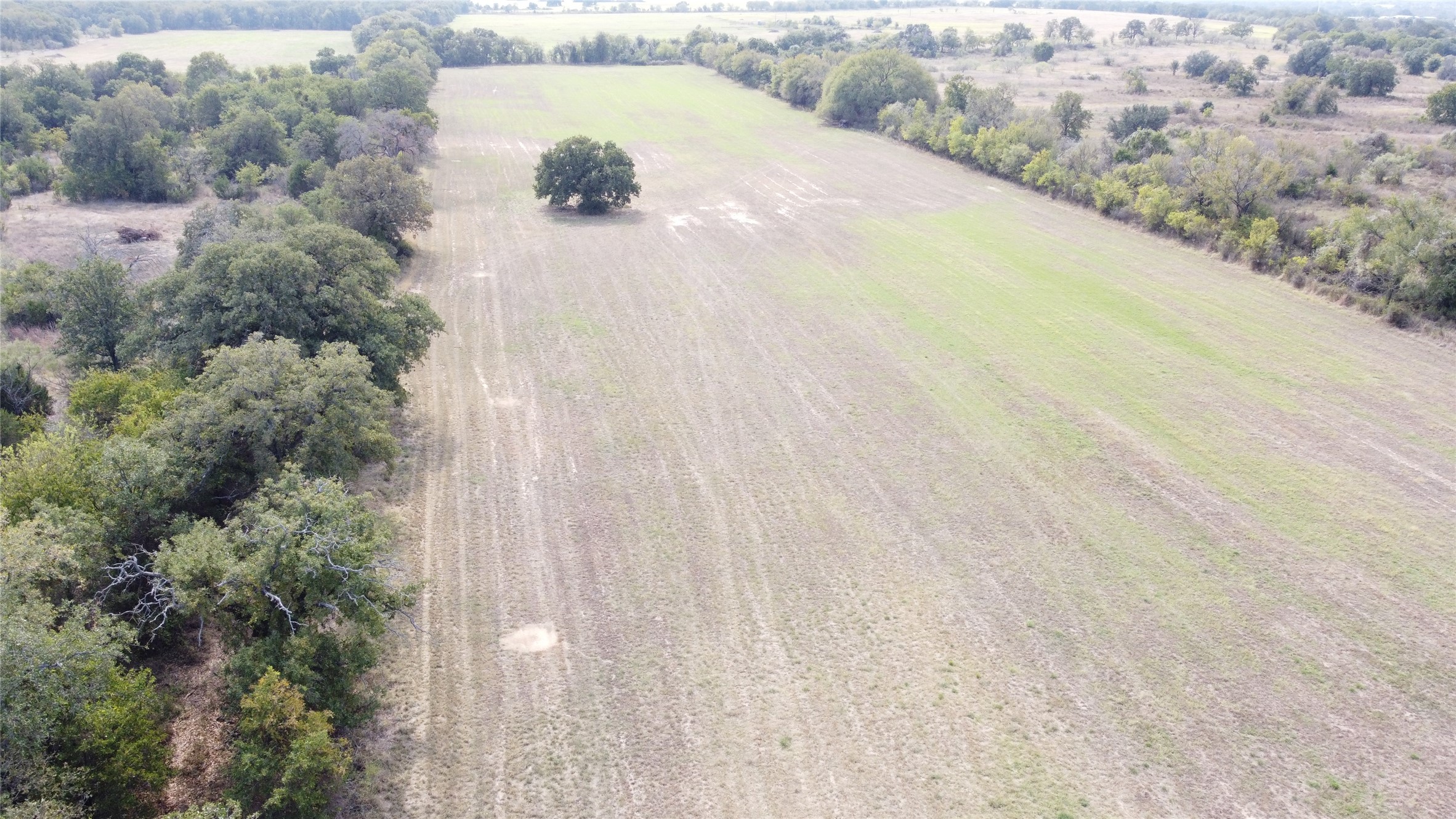 Tbd County Road 298 Dublin TX 76446